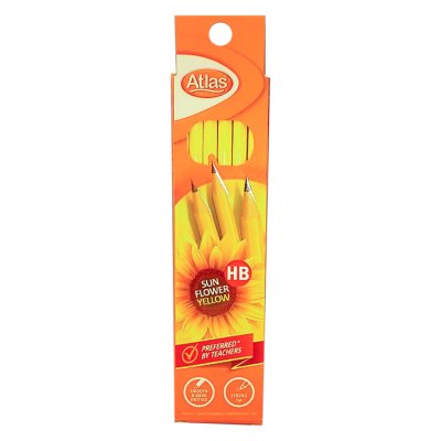 Pencil 12 Pack - HB