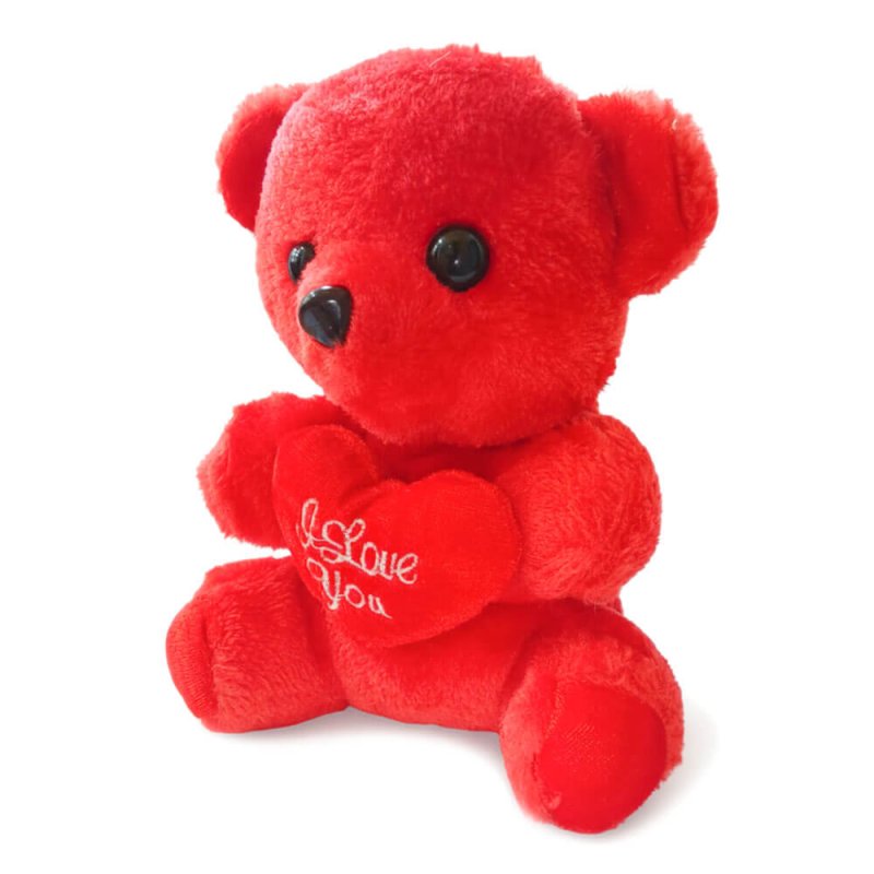Red heart hugging cute teddy